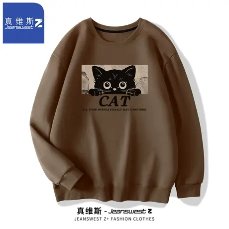 真维斯Z+重磅卫衣男潮牌高级感圆领男士宽松上衣春秋款情侣外套H图片