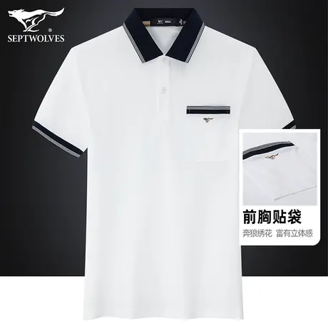 七匹狼狼族生活短袖T恤男夏季半袖Polo衫年轻商务经典翻领保罗衫商品大图