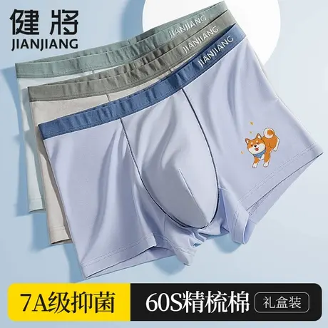 健将青少年内裤发育期纯棉男孩儿童平角男大童高中初中生四角短裤商品大图