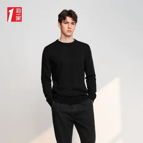 海一家基础圆领毛衣2023秋季新款休闲简约保暖舒适长袖针织衫男商品大图