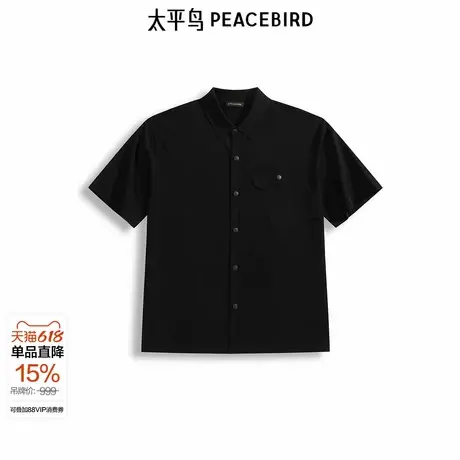 【商场同款】太平鸟男装POLO衫25夏季新款宽松缝标T恤 B1EDF2427图片