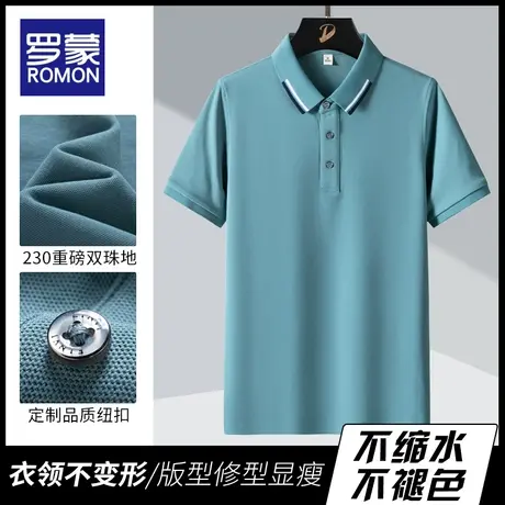 罗蒙男士短袖t恤polo衫夏季薄款翻领衣服商务休闲冰丝透气上衣男图片
