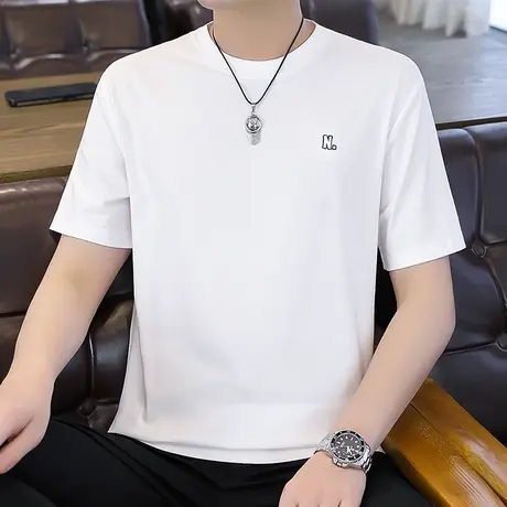 圆领短袖T恤男夏季宽松潮牌潮流简约百搭内搭简约百搭半袖体恤衫商品大图