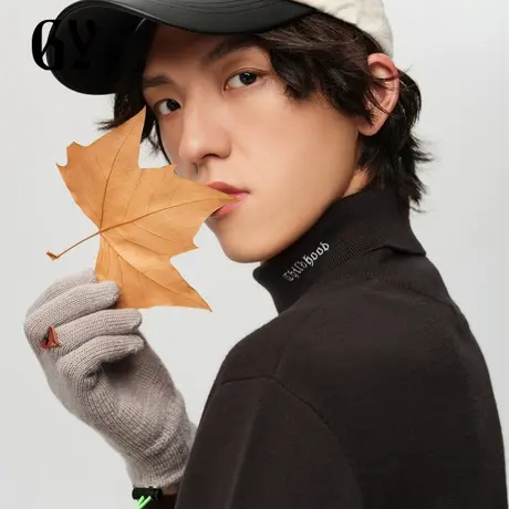 雅戈尔奥莱 GY男装毛衫秋冬青年时尚刺绣休闲高领针织羊毛衫商品大图