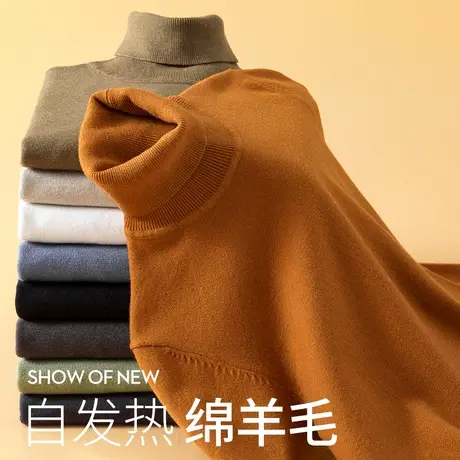 男士新款潮牌可翻高领打底羊毛衫秋冬季内搭保暖长袖毛衣2024新款商品大图