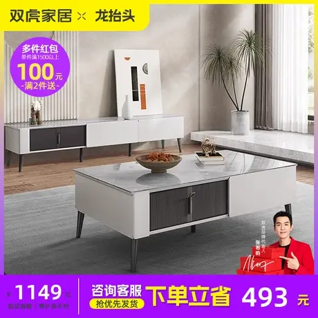 双虎岩板电视柜小户型客厅柜现代简约轻奢茶几电视机柜组合16002图片