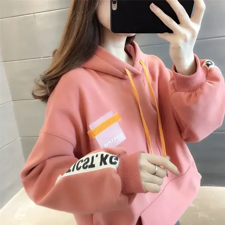 连帽宽松卫衣女百搭加厚加绒外套炸街上衣网红ins潮小众设计感冬商品大图