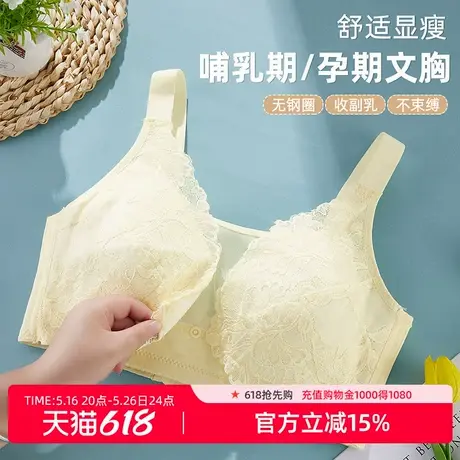 雅黛丽哺乳内衣全罩杯便捷前开扣亲肤细腻网纱抹胸式聚拢侧收副乳商品大图
