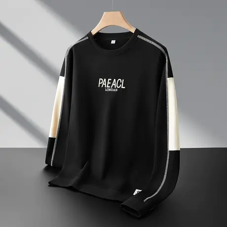 秋冬季字母刺绣撞色拼接贴布补丁圆领套头卫衣男士2024新款tT恤衫商品大图