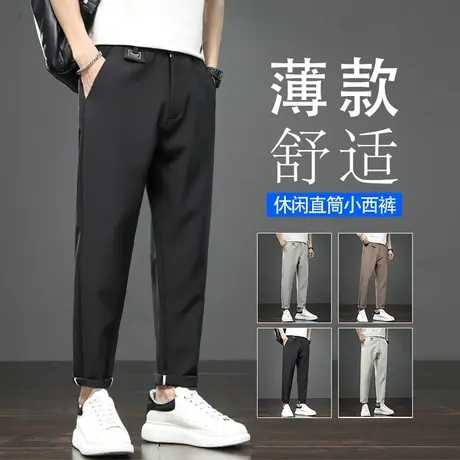 夏季薄款男款小西裤男士直筒宽松休闲长裤子冰丝商务正装西服西装商品大图