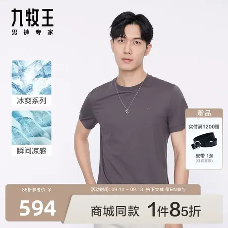 [含桑蚕丝]九牧王男装HT2C20417短袖T恤23夏新款舒爽商场同款EN图片