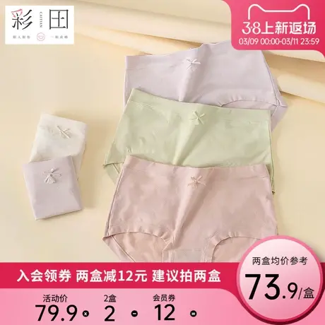 彩田夏季新款棉莫混纺纯色提花蝴蝶结柔软透气抗菌底裆女士三角裤商品大图