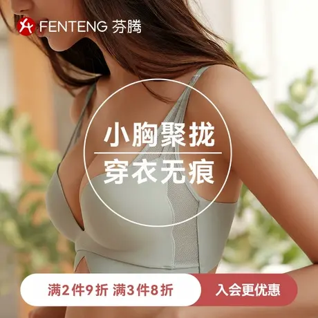 【小胸聚拢】芬腾无痕内衣女士美背防下垂收副乳调整型夏季文胸罩图片