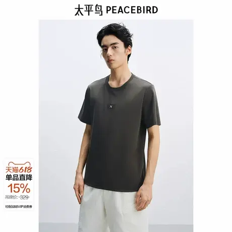 【商场同款】太平鸟男装重磅短袖T恤25夏新款刺绣体恤B1CNF2421 &图片