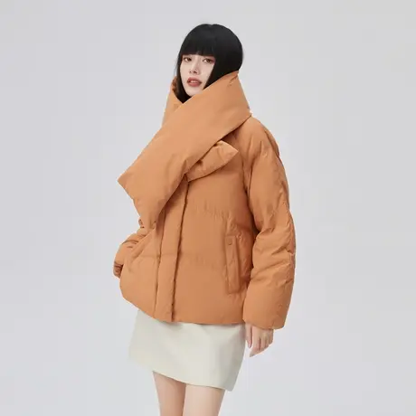 艾莱依短款羽绒服女2022秋冬新款潮流轻薄时尚休闲小个子立领外套商品大图