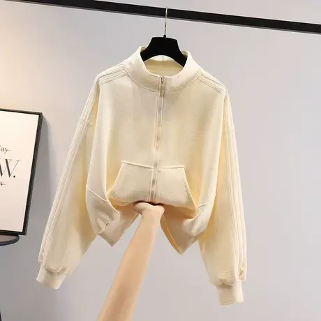 韩版女士短外套女春秋款2023年新款爆款潮立领拉链卫衣开衫设计感图片