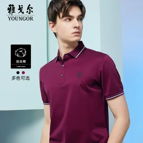 雅戈尔奥莱 男装短袖T恤中老年翻领商务丝光棉polo衫商品大图