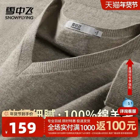 雪中飞【100%绵羊毛 绵软舒适】V领纯色线衫26秋冬季男式羊毛衫W商品大图