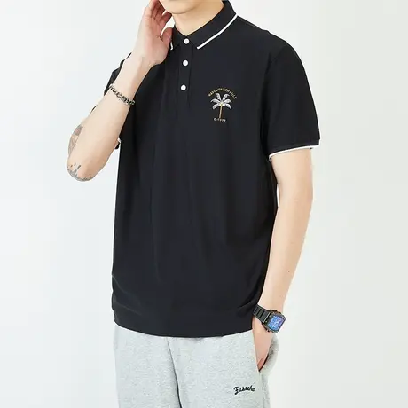 夏季商务休闲POLO衫男士宽松翻领半袖男装夏装上衣服2024新款夏天商品大图