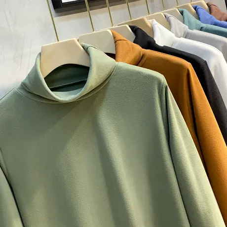 2023秋冬高领长袖T恤双面德绒卫衣潮内搭半打底衫中领男加绒加厚图片