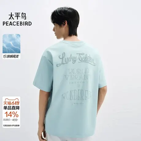 【商场同款】太平鸟男装 潮流美式后背刺绣短袖T恤男B1CNF2620 &图片