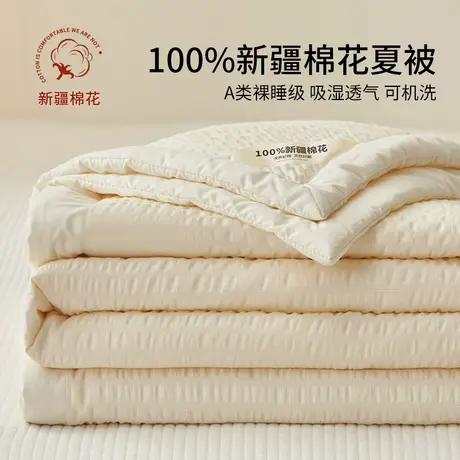 夏凉被纯棉全棉可机洗2025新款空调被单人夏被儿童夏季薄被子被芯商品大图