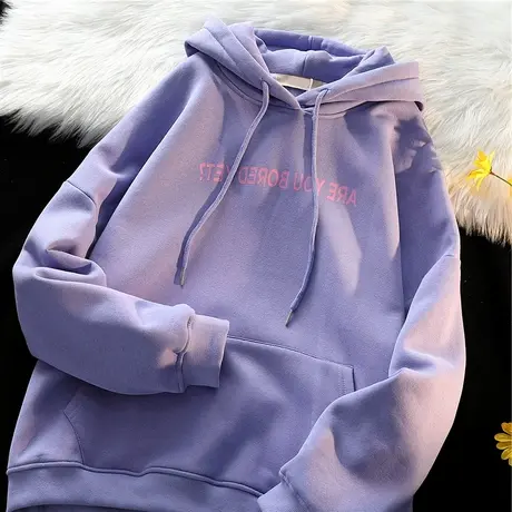 古着vintage卫衣女秋冬款2022加绒慵懒风设计感小众帽衫外套潮ins商品大图