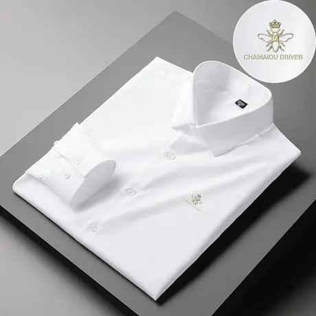 白色衬衫男长袖春秋季免烫抗皱衬衣商务正装高级感休闲寸衫轻熟风商品大图
