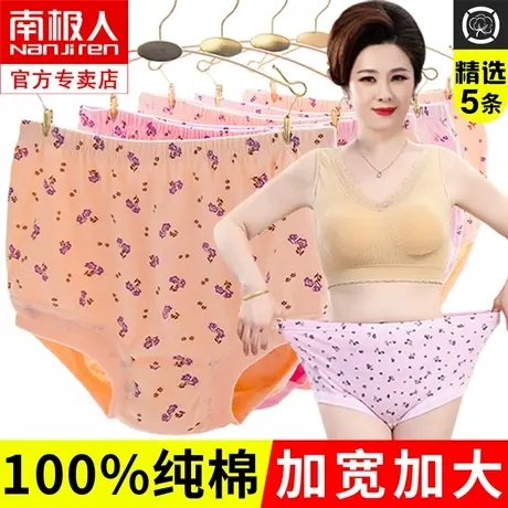 老年人内裤女奶奶纯棉短裤女士中老年全棉女内裤妈妈老太太底裤头商品大图