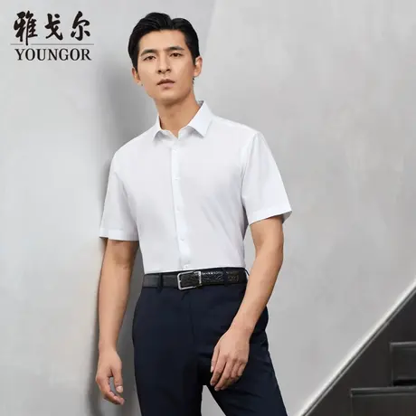 【商场同款】雅戈尔男士短袖衬衫春夏新款官方短袖衬衫男S3048图片