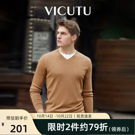 VICUTU/威可多男士纯羊毛衫可机洗易打理纯色针织衫V领毛衣商品大图