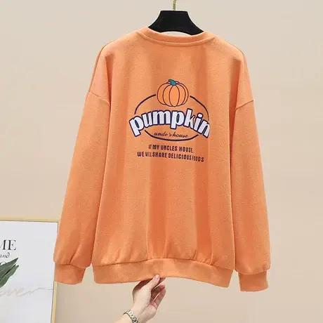 小个子宽松磨毛卫衣女春秋2023新款韩版设计感小众网红炸街上衣潮图片