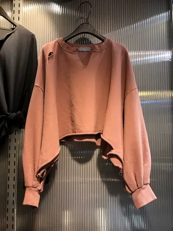 卫衣女春秋薄款2020新款韩版ins潮纯色个性V领破洞宽松短款上衣服商品大图