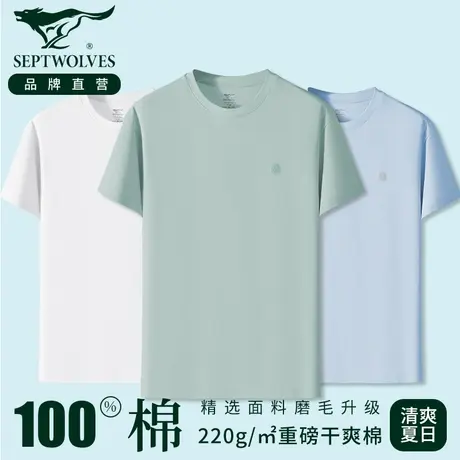 七匹狼纯棉短袖T恤男士汗衫夏季重磅宽松100%全棉半袖打底体恤潮商品大图
