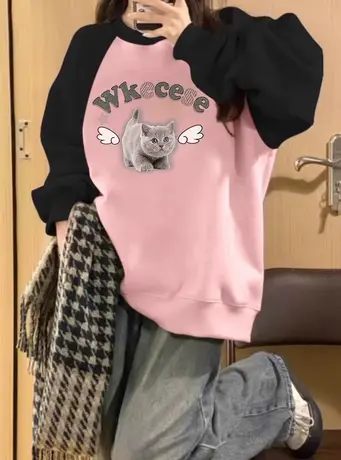 拼色插肩袖卫衣女春秋薄款圆领宽松小众设计感美式复古潮套头上衣图片