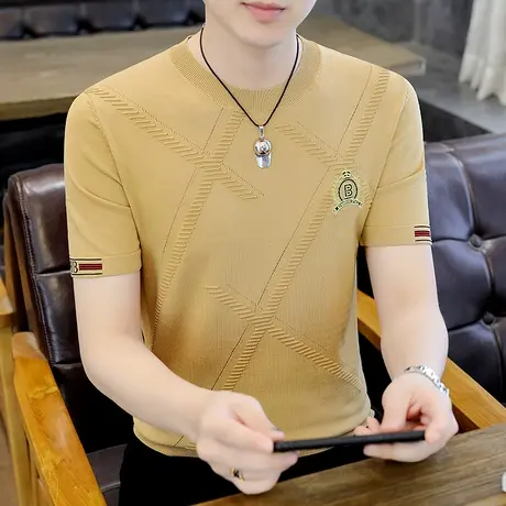 短袖t恤男夏季高端冰丝薄款针织体恤潮牌刺绣半袖男款休闲夏装商品大图