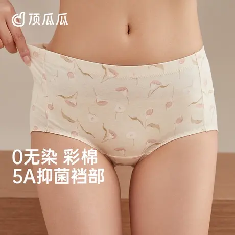 顶瓜瓜彩棉内裤女士中腰纯棉三角裤透气短裤女士彩棉3条装商品大图