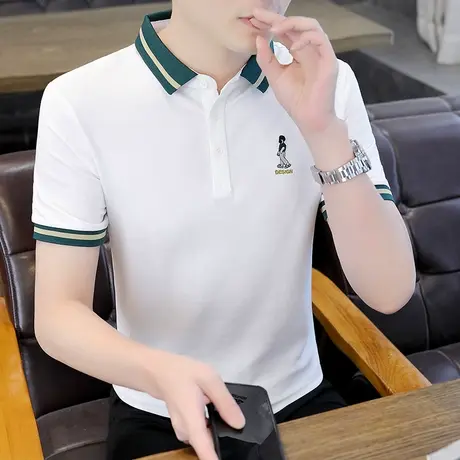 短袖Polo衫男士t恤夏季薄款潮流带领上衣高级感潮牌男装半袖体恤商品大图