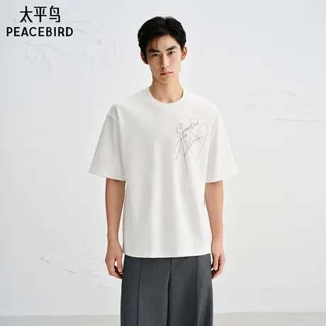 【PETER DO联名】太平鸟男装 休闲T恤重磅刺绣T恤男潮 B1CNF3C16商品大图