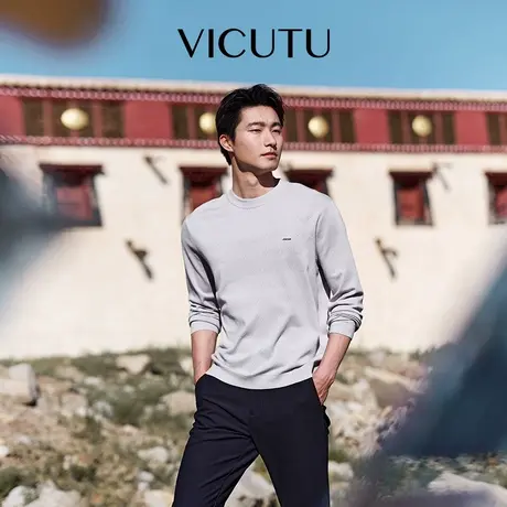 VICUTU/威可多长袖针织衫舒弹亲肤时尚圆领商务休闲百搭毛衣商品大图