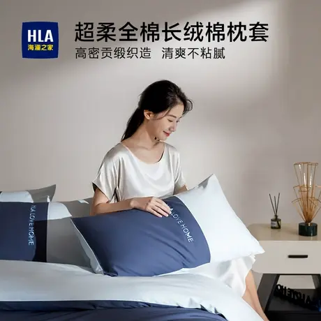 枕套一对装2025新款全棉纯棉枕头枕芯套48cmx74cm男家用商品大图