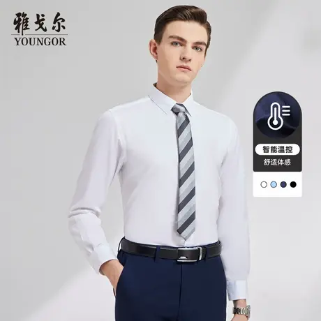 雅戈尔奥莱 男装秋季商务休闲衬衫棉弹舒适长袖衬衫男士衬衣商品大图