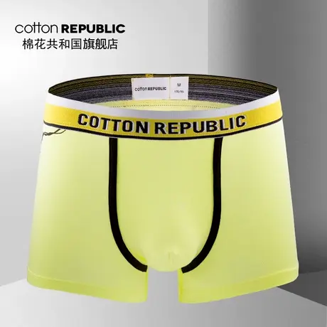 Cotton Republic/棉花共和国男士平角内裤莫代尔恐龙印花一条装图片
