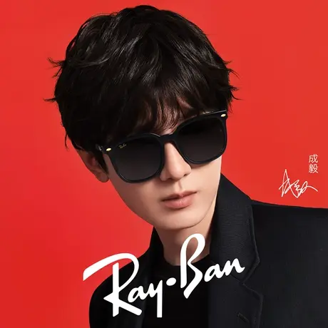 【龙年艺术家合作款成毅同款】RayBan雷朋太阳镜大框修颜0RB4401D商品大图