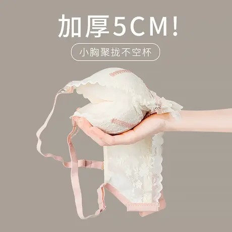 加厚5厘米小胸聚拢不空杯女上托品牌蕾丝显大4内衣圆圆胸文胸胸罩商品大图