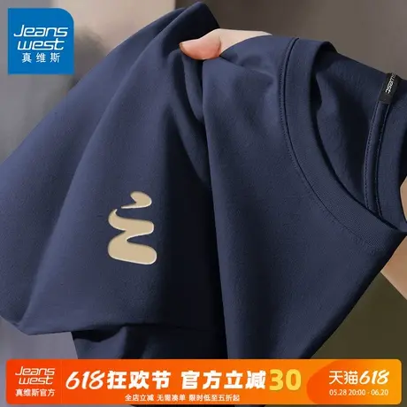 GV真维斯男士短袖t恤纯棉情侣装2025新款夏季简约字母体恤衫男款C商品大图