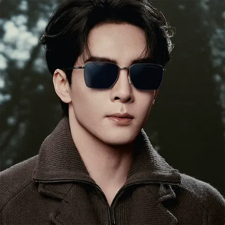 EMPORIO ARMANI【2025秋冬新品】太阳镜男款墨镜方形眼镜0EA2172D图片