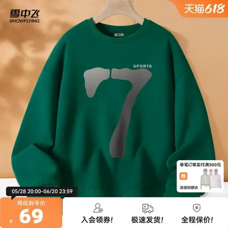 雪中飞卫衣女春秋薄款2025年新款春装大码胖mm潮流宽松圆领外套PC图片