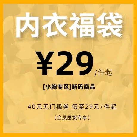 无痕内衣女小胸聚拢显大无钢圈胸罩上托收副乳舒适防下垂文胸套装商品大图