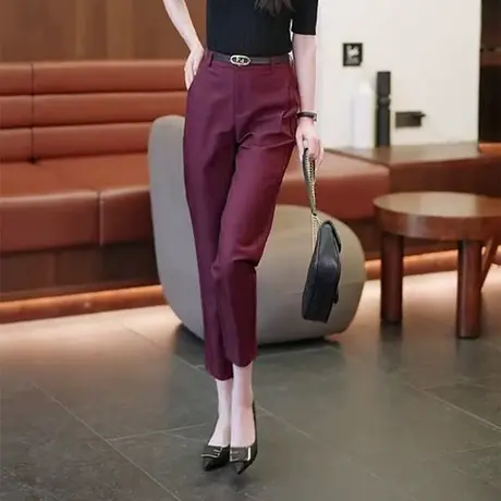 高腰西装裤女春秋2023新款时尚休闲烟管女裤直筒宽松显瘦哈伦裤子商品大图
